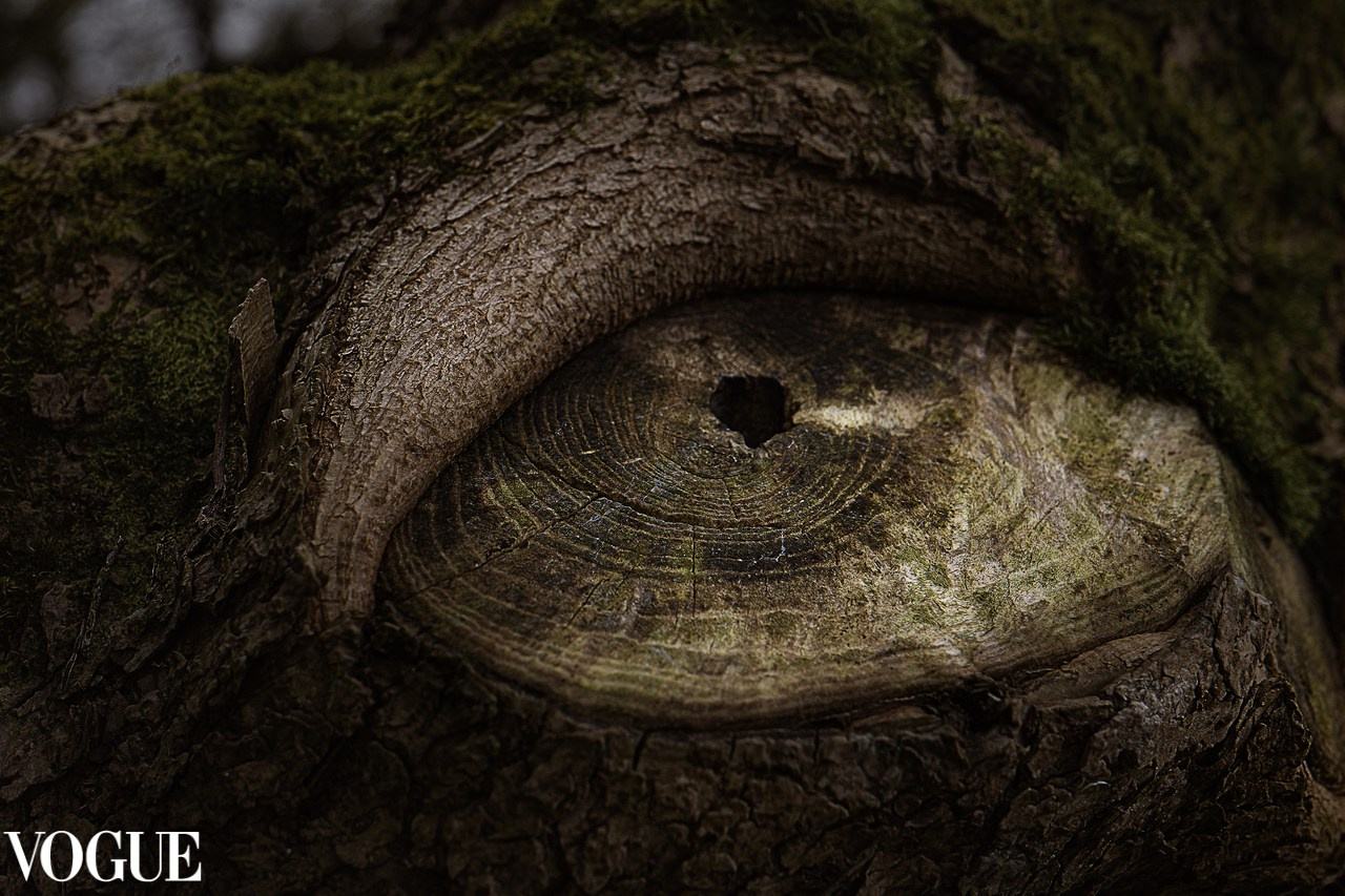 Coût. Portrais créatifs de familles et individuels, Ile et Vilaine, France