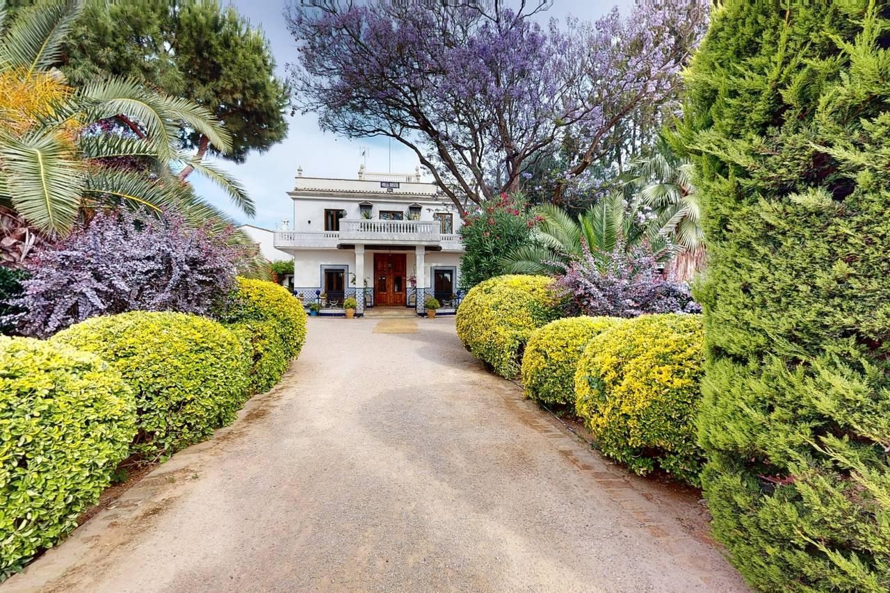 Garden path bordered by clipped hedges and palms leading to the white façade of Villa Rosita – Huerto de Montesinos.