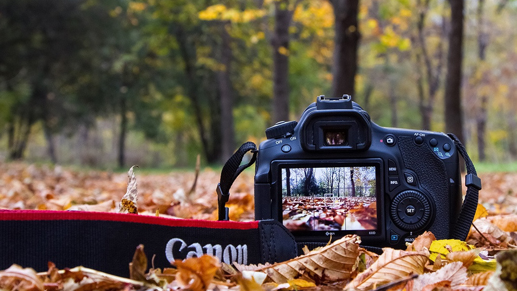 Contacte. Fotograf de Nuntă | Familie | Portret - Iulian Doroganici