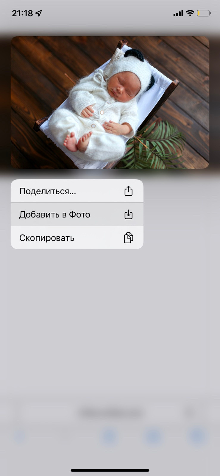 Cum se descarcă fotografiile?. Fotograf de familie și copii în Republica Moldova