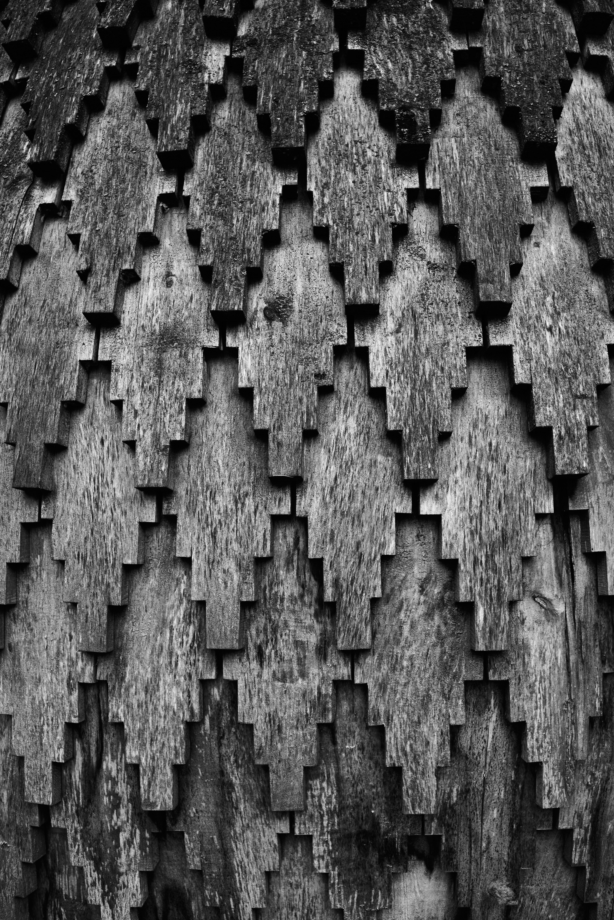 DISTROTION. Daniil Khaitseer photography