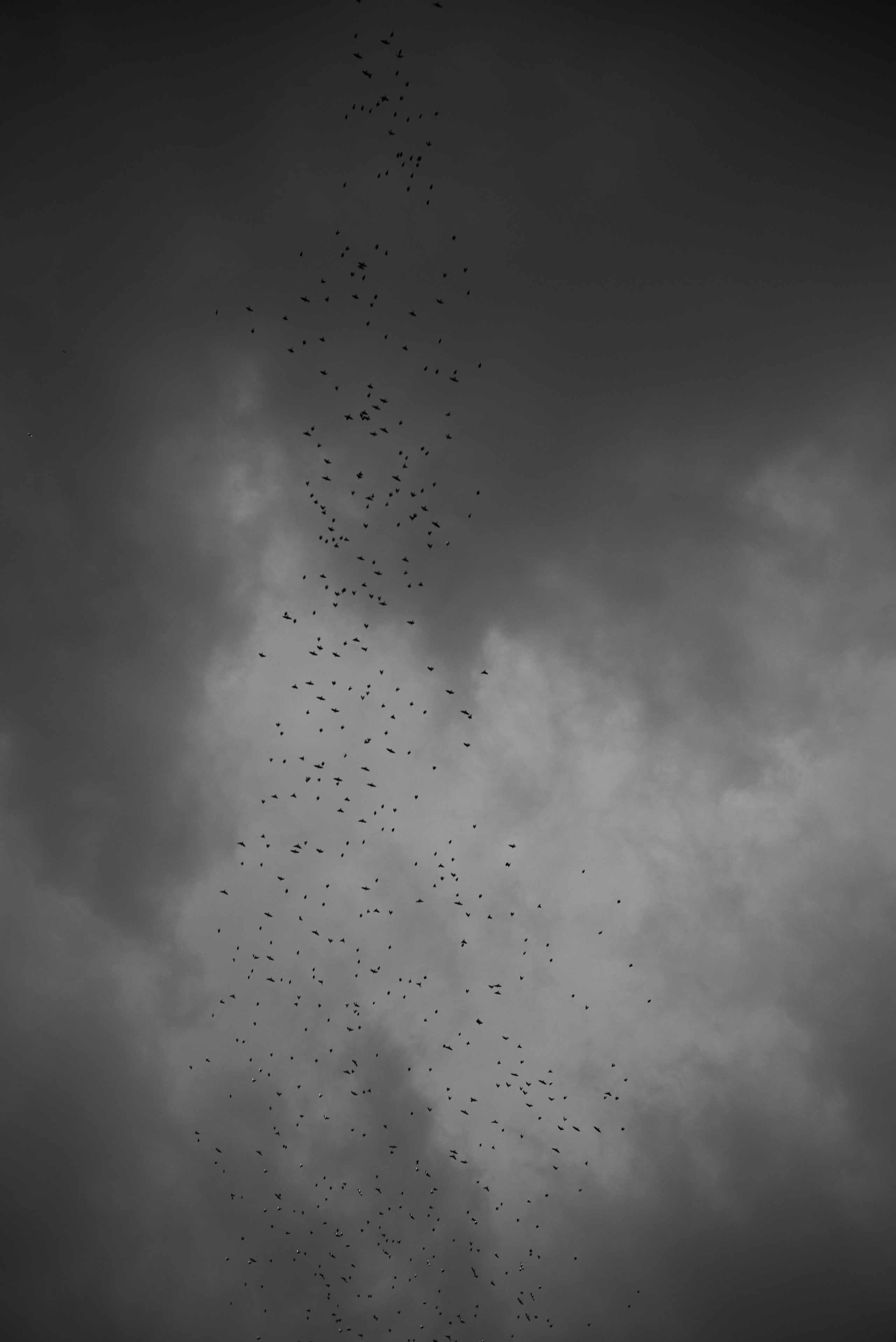 DISTROTION. Daniil Khaitseer photography