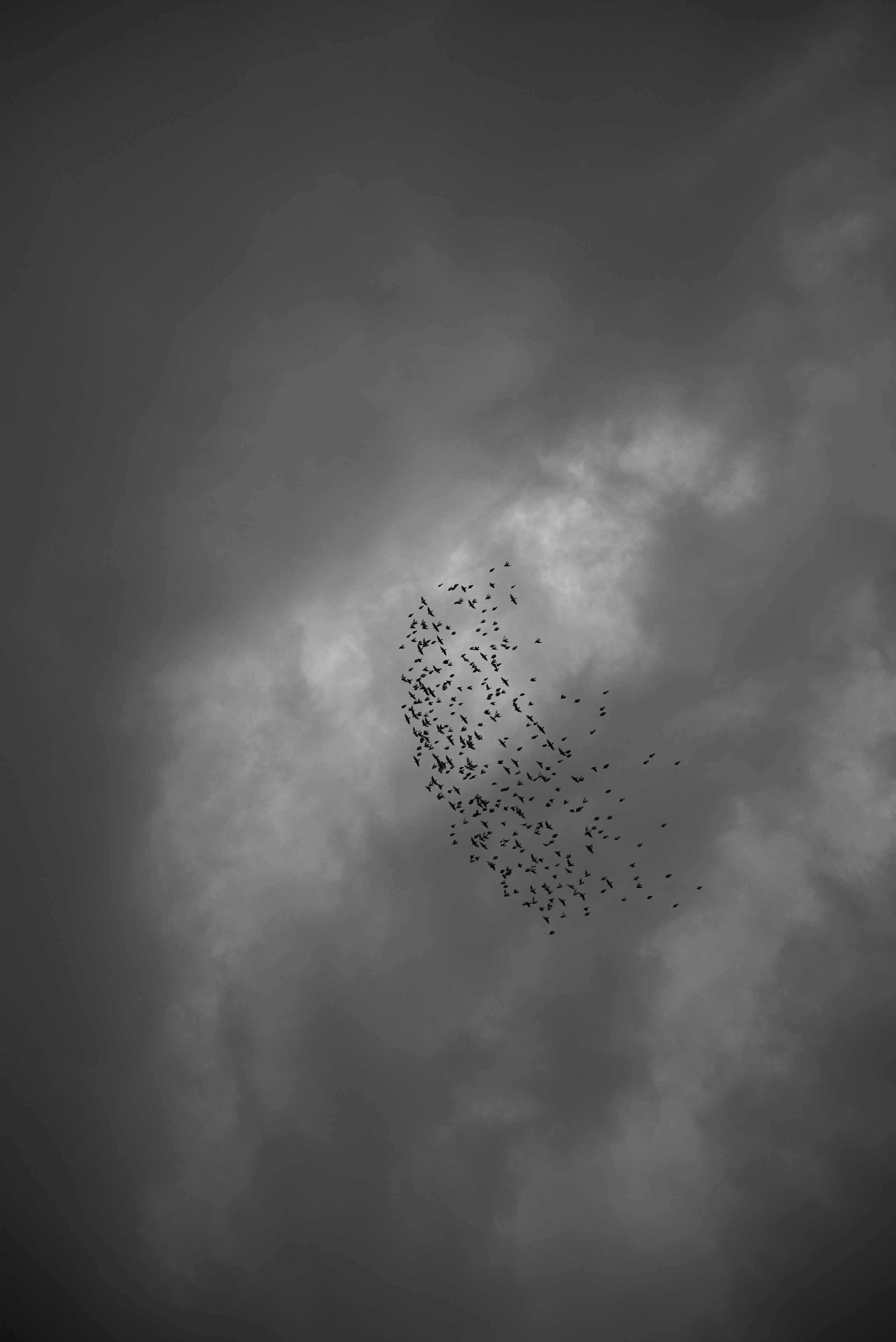 DISTROTION. Daniil Khaitseer photography