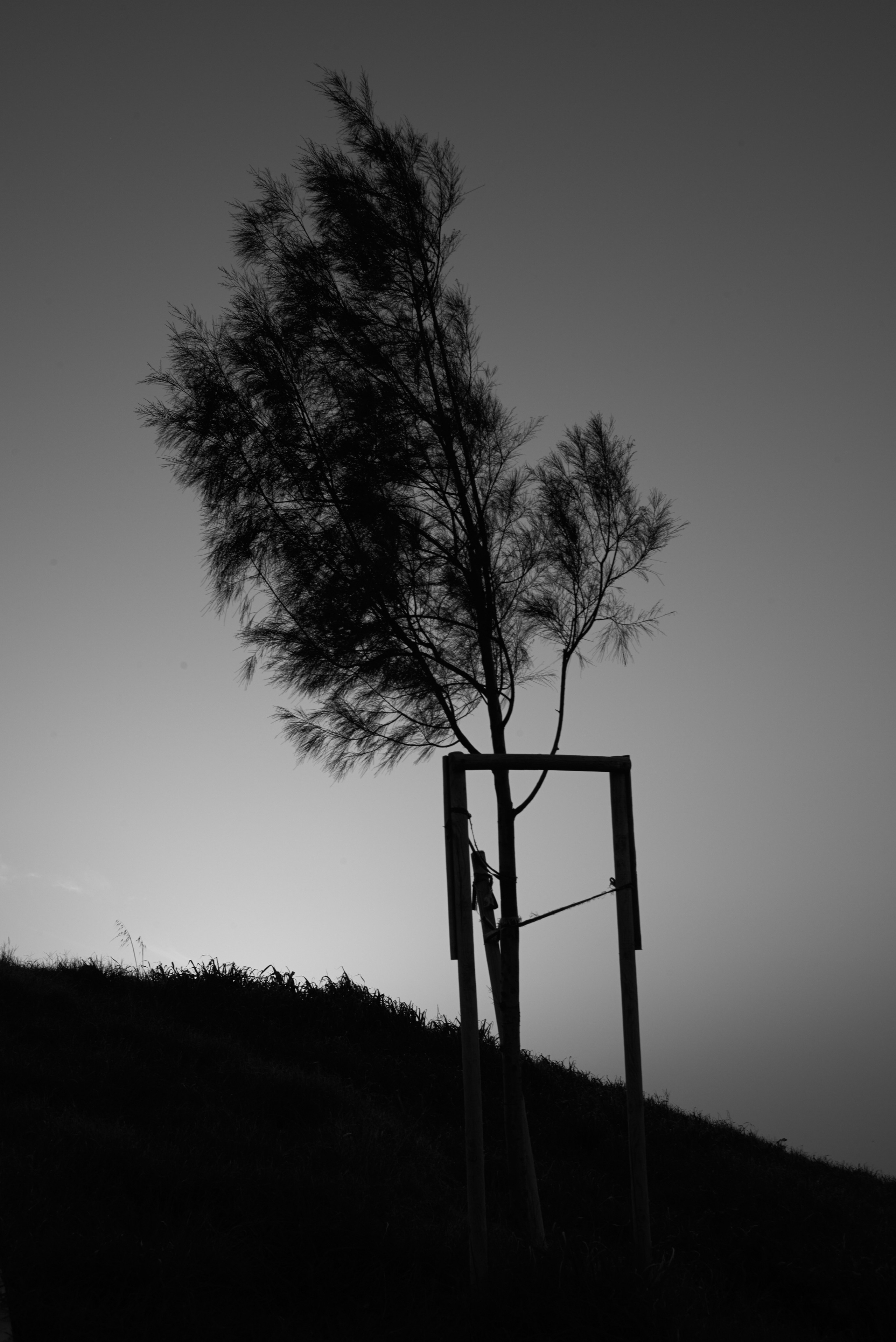 DISTROTION. Daniil Khaitseer photography