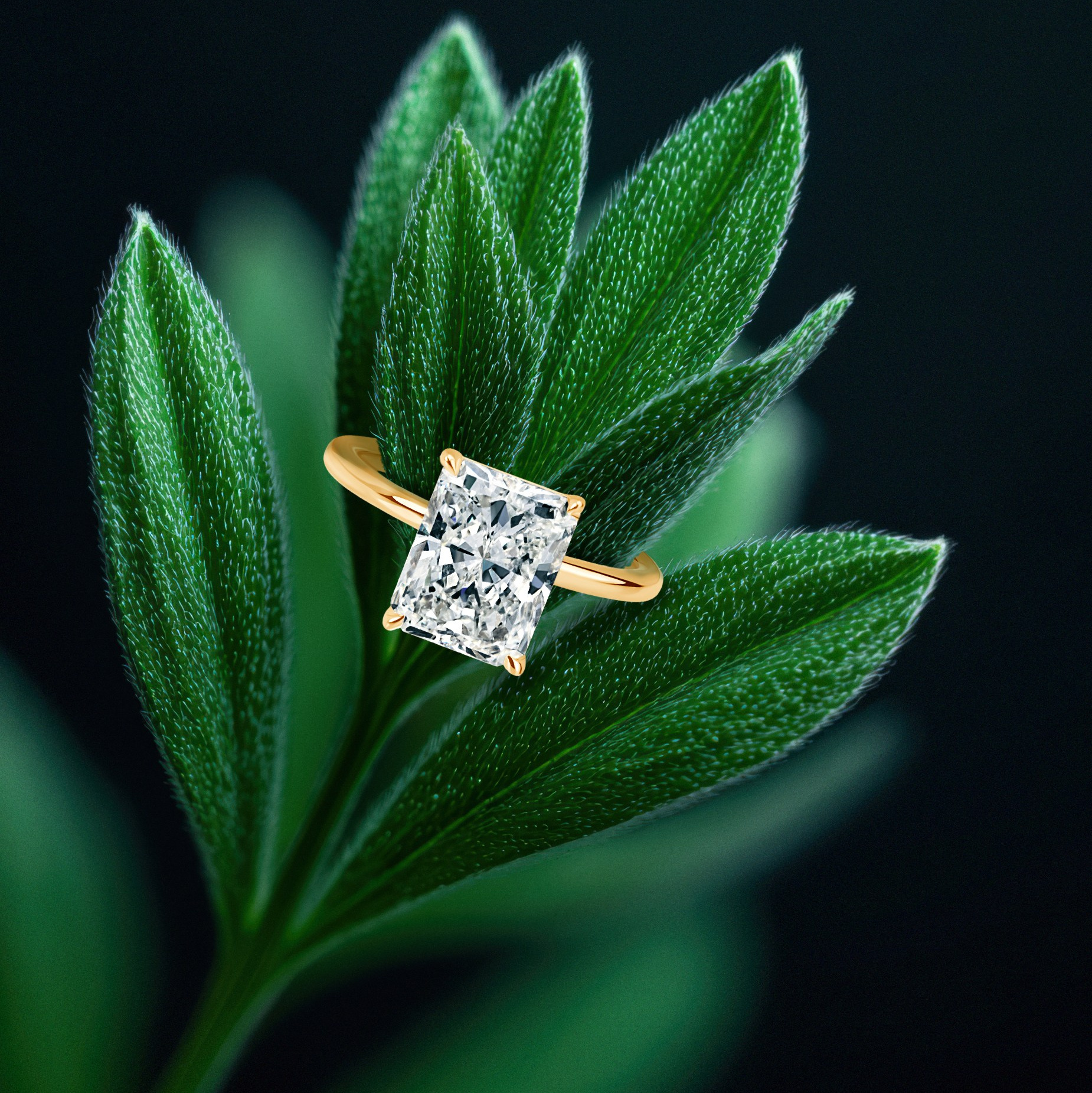 My Contacts. Retoucher Available Worldwide, Product Photographer in Georgia, Batumi Aliaksandra