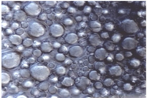 Korneotherapie. Kosmetikstudio Victoria Becker