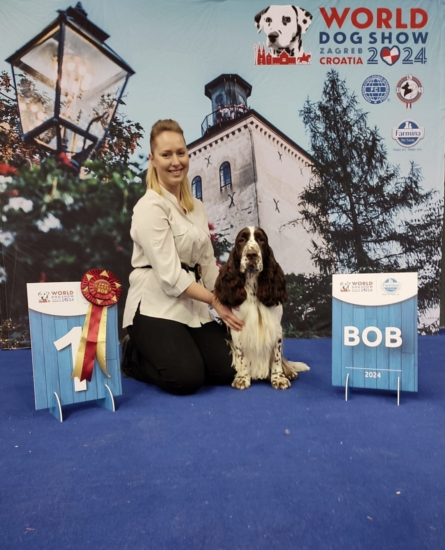 Photo of springer spaniel at the World Championships in Croatia