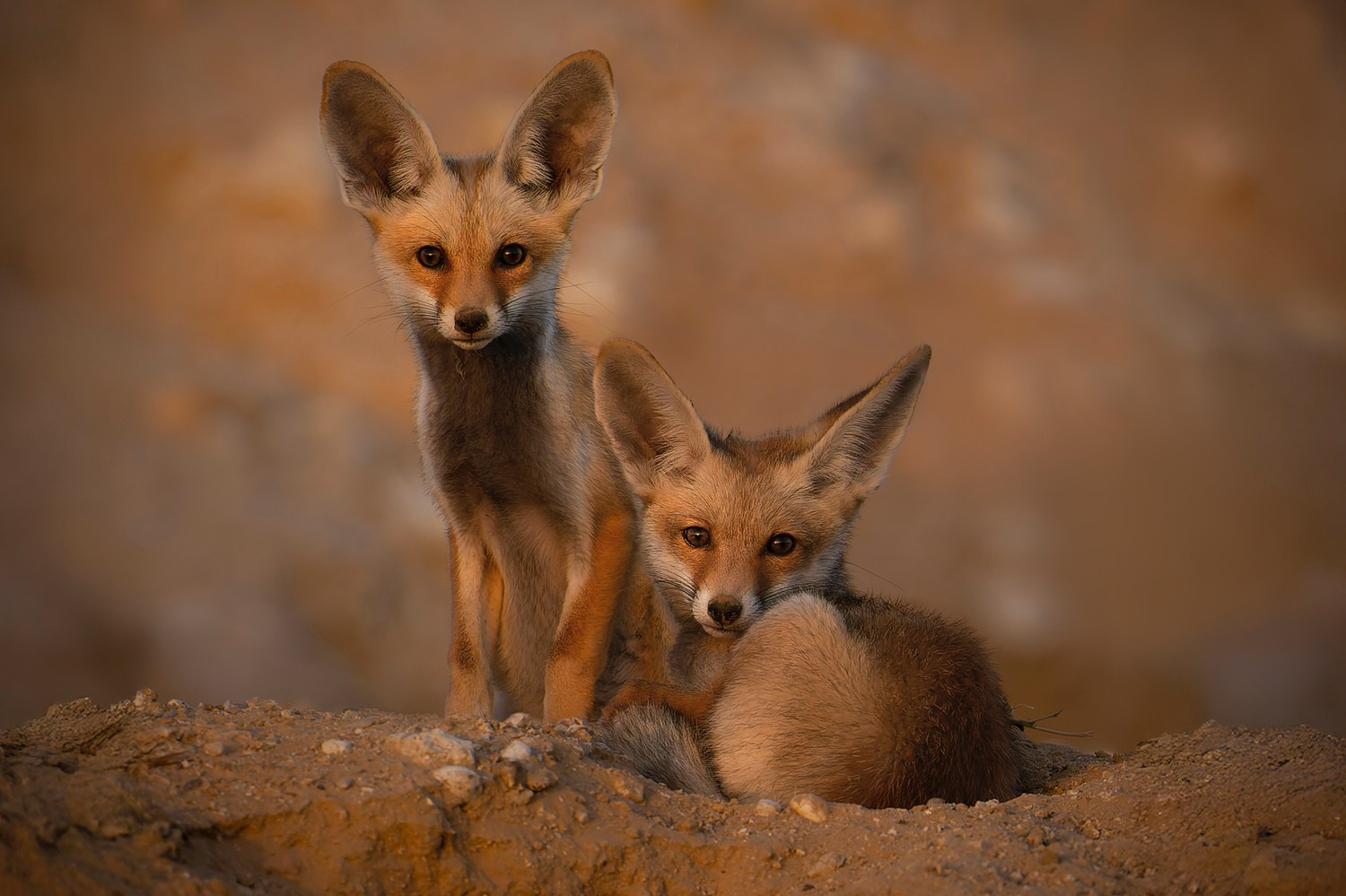 Store. Akhil Vinayak Menon Photography