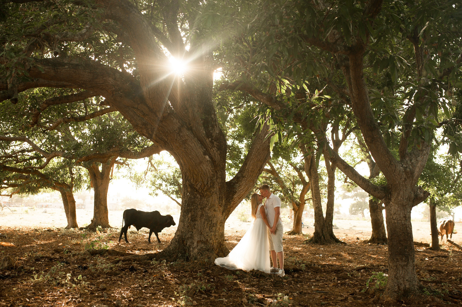 The bride kisses the groom among the trees.