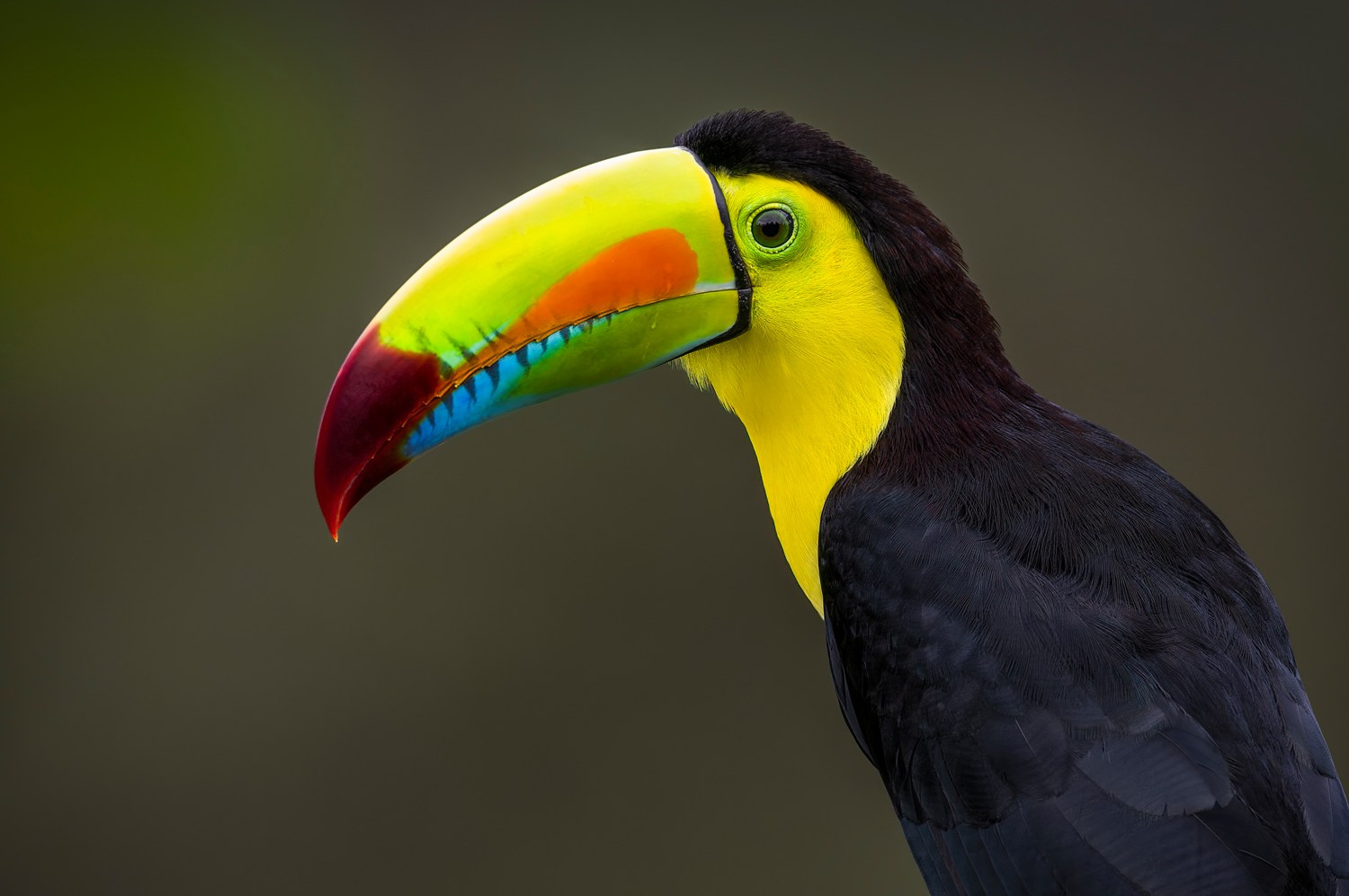 Store. Akhil Vinayak Menon Photography