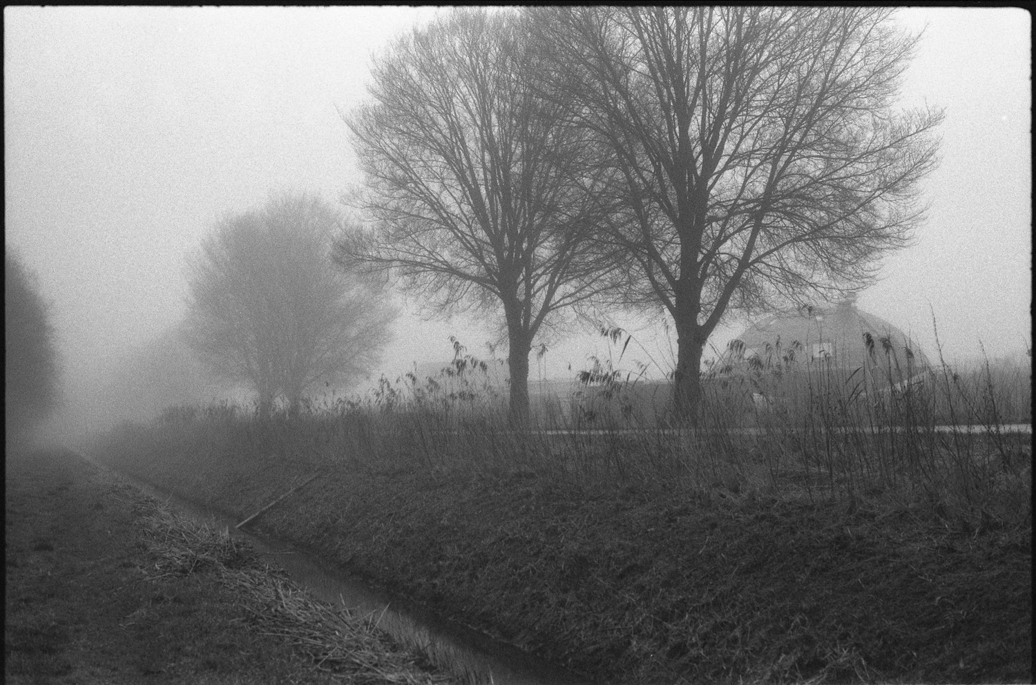 DOCUMENTARY. Fotograaf Amsterdam - Victoria Ushkanova