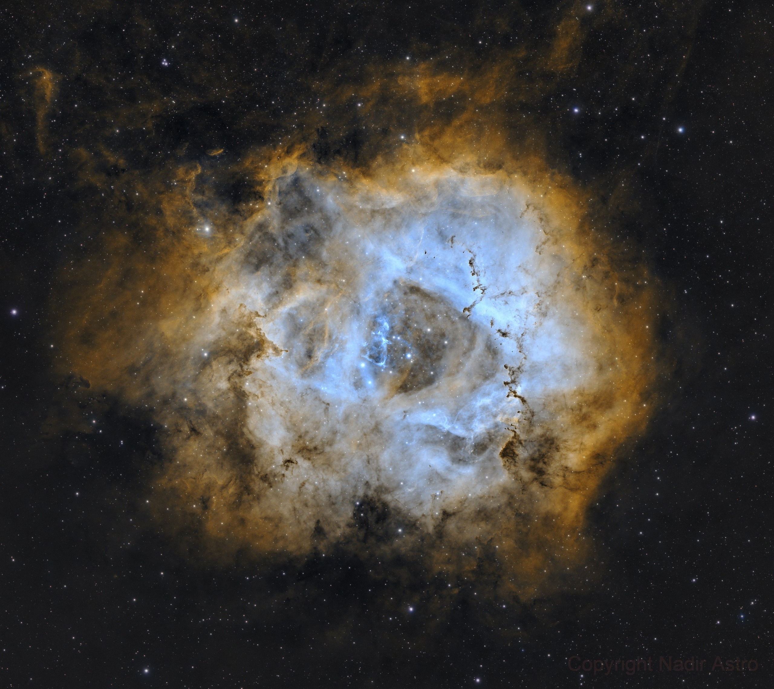 “Rosette” dumanlığı. Həvəskar Astronomlar Cəmiyyəti — Astronomy.az