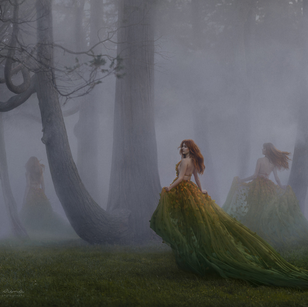 DRYAD. Art photographer in Amsterdam, the Netherlands Irina Dzhul