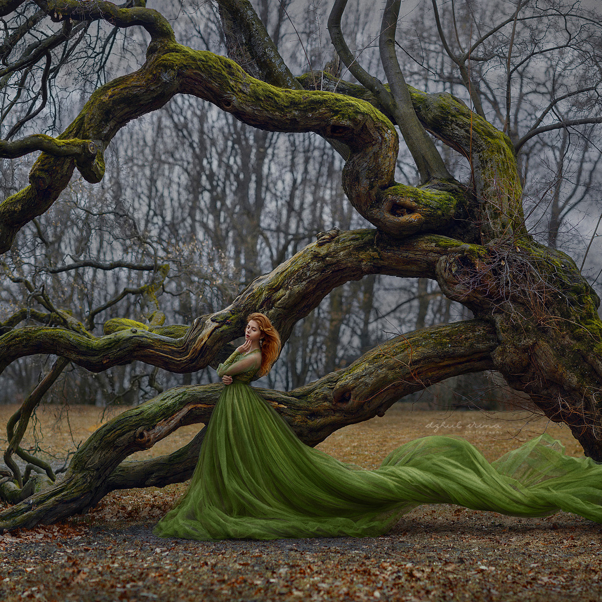 PRINT SHOP. Art photographer in Amsterdam, the Netherlands Irina Dzhul