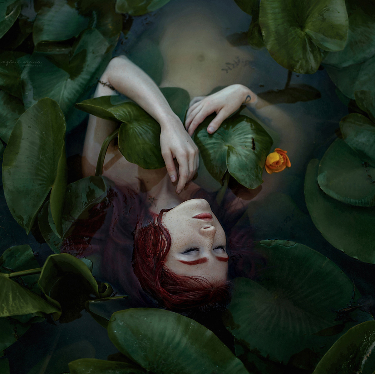 DRYADS. Art photographer in Amsterdam, the Netherlands Irina Dzhul