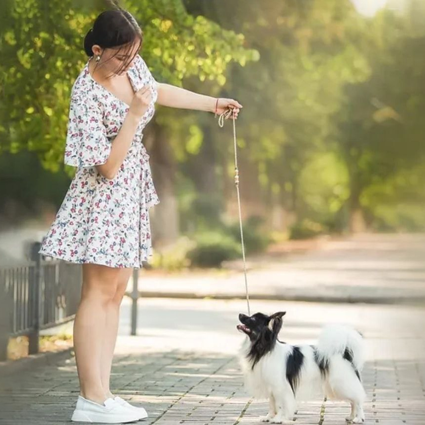 Прайс анімалістика европа. Репортажний фотограф/анімаліст КИЇВ