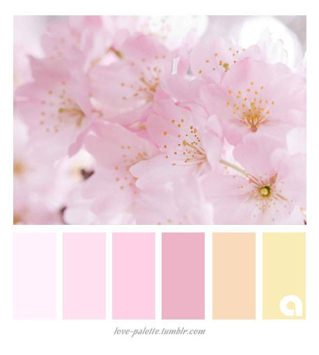 FOTOSESSIOON „Õied“. Jkurm Photography — Rovaniemi, Finland and Tartu, Estonia