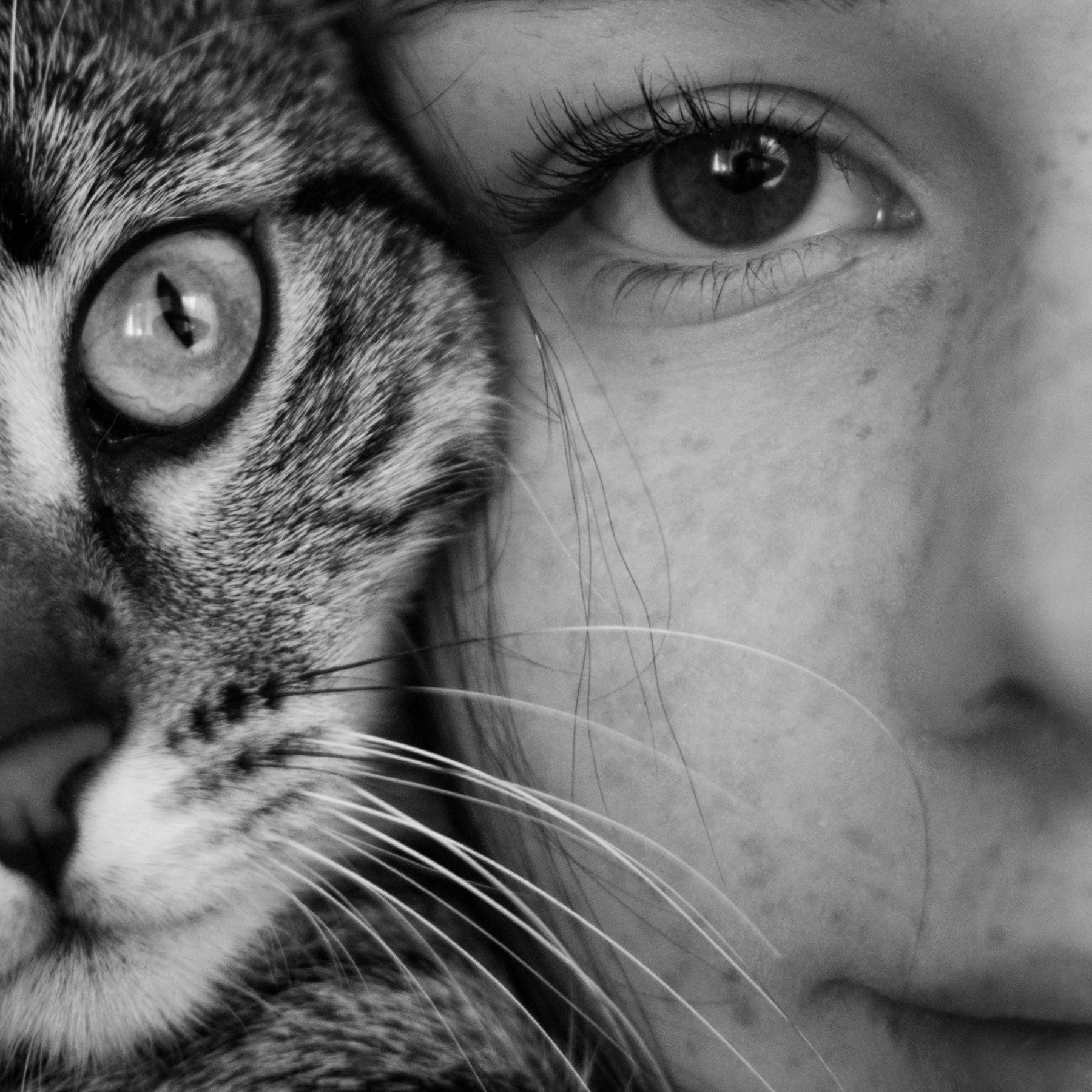 Services. Photographe animalier à Paris Anna Pereira