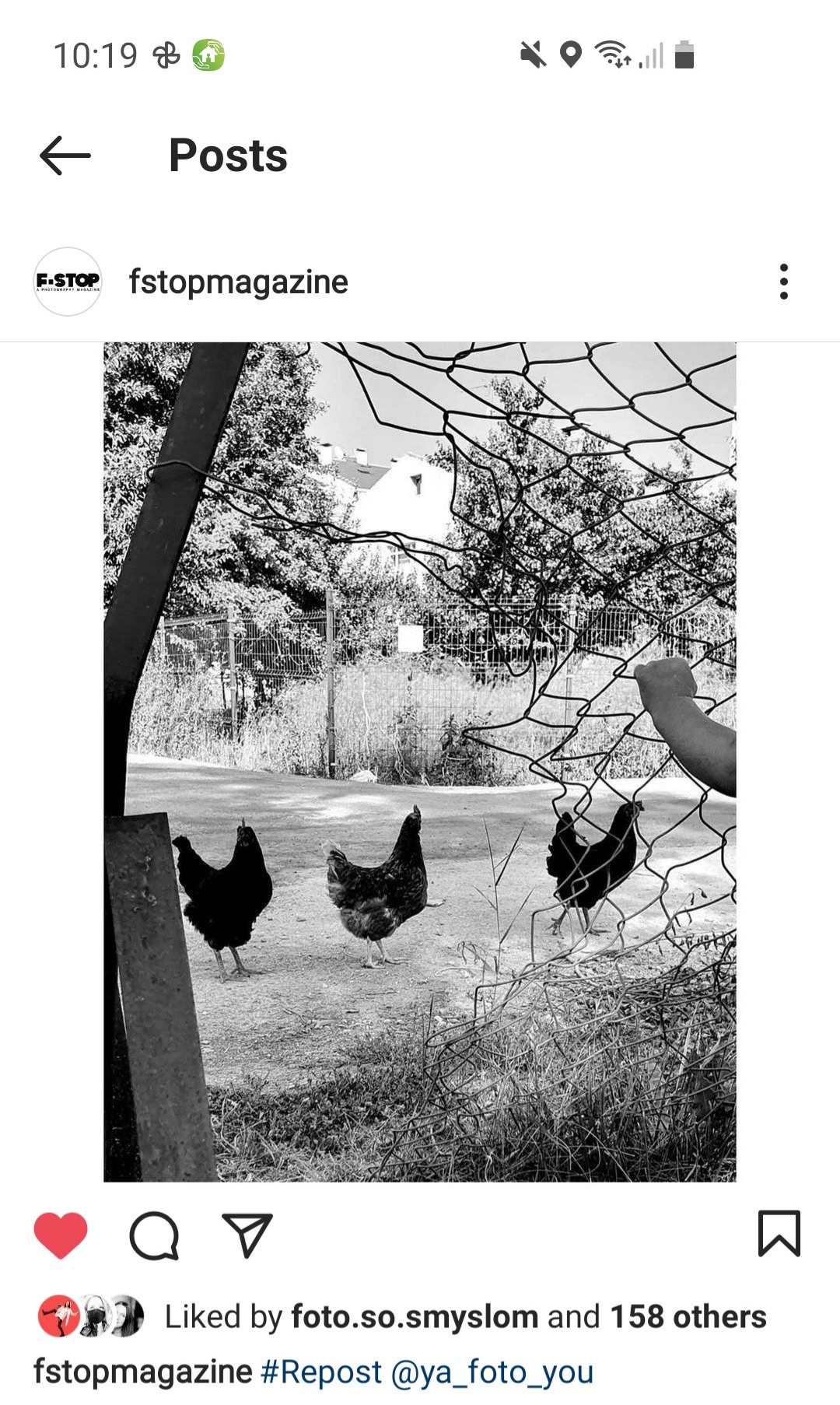 ПУБЛИКАЦИИ. Современное искусство, глитч арт, glitch art