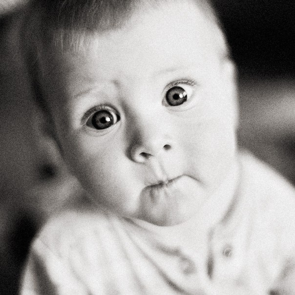 Family Photographer in London and Kent | Alexander