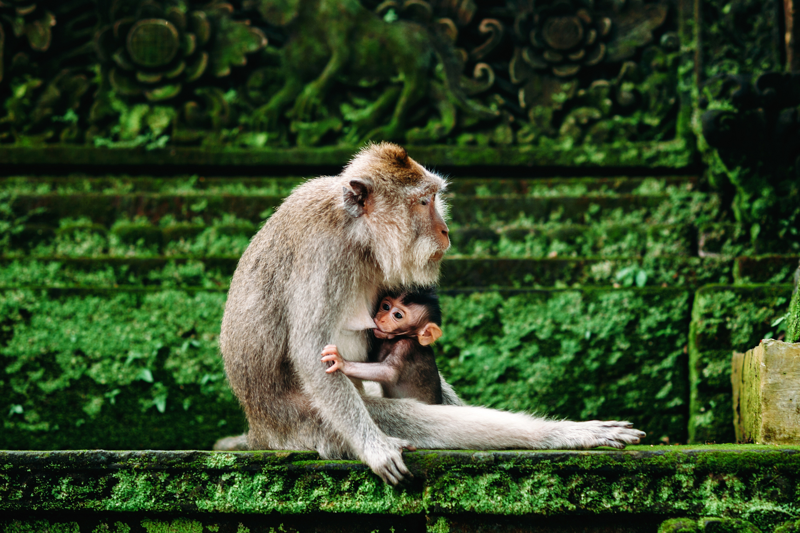 Wedding family photographer Alicante Benidorm Valencia Costa Blanca