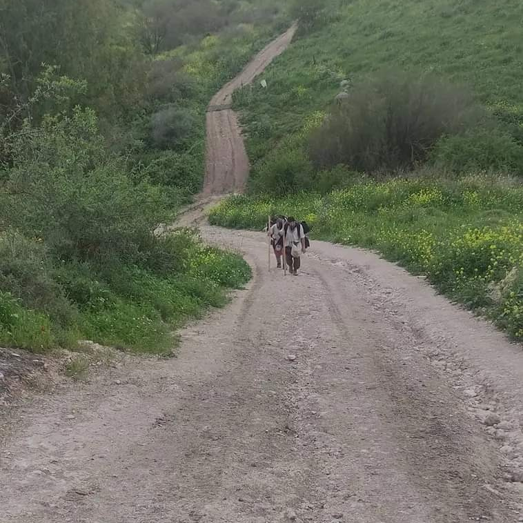 Nordman Club — Viking Expeditions & Historical Treks | Nortman.org. “Nortman” Club of Historical Reenactment and Stylization