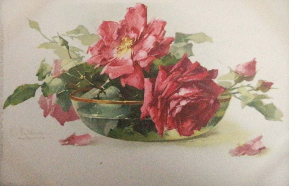 Postkarten-Stillleben von Katerina Klein