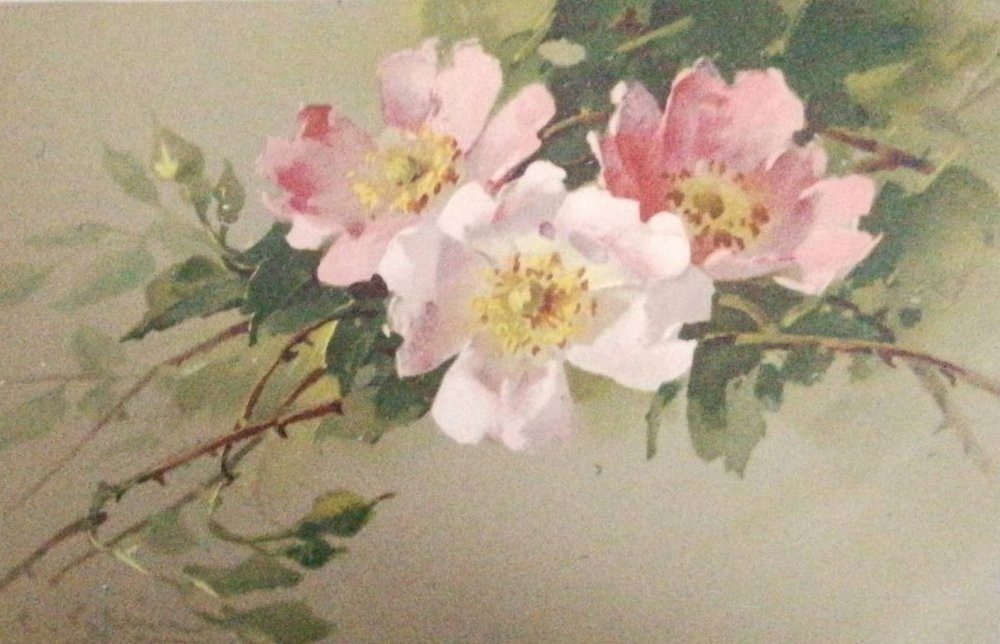 Vintage-Postkarten – Stillleben von Catharina Klein. Fotografin, Sammlerin von Vintage-Postkarten und Schöpferin von Geschichten an der Schnittstelle zwischen Vergangenheit und Persönlichem. Ir