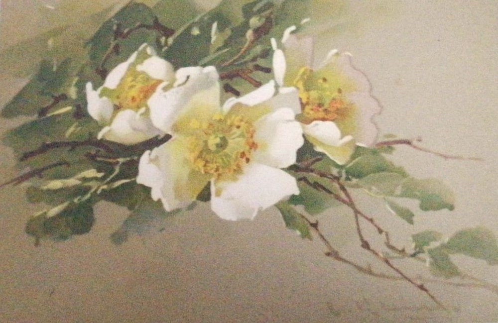 Vintage-Postkarten – Stillleben von Catharina Klein. Fotografin, Sammlerin von Vintage-Postkarten und Schöpferin von Geschichten an der Schnittstelle zwischen Vergangenheit und Persönlichem. Ir