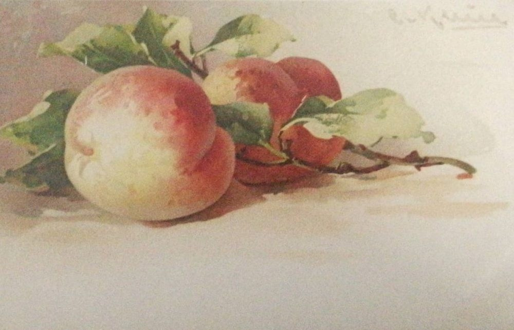 Vintage-Postkarten – Stillleben von Catharina Klein. Fotografin, Sammlerin von Vintage-Postkarten und Schöpferin von Geschichten an der Schnittstelle zwischen Vergangenheit und Persönlichem. Ir