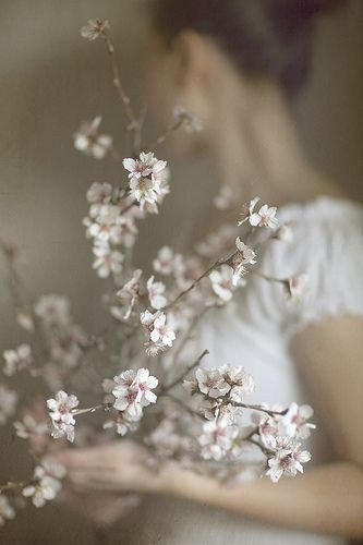 Съёмка в цветении. Парк де Со