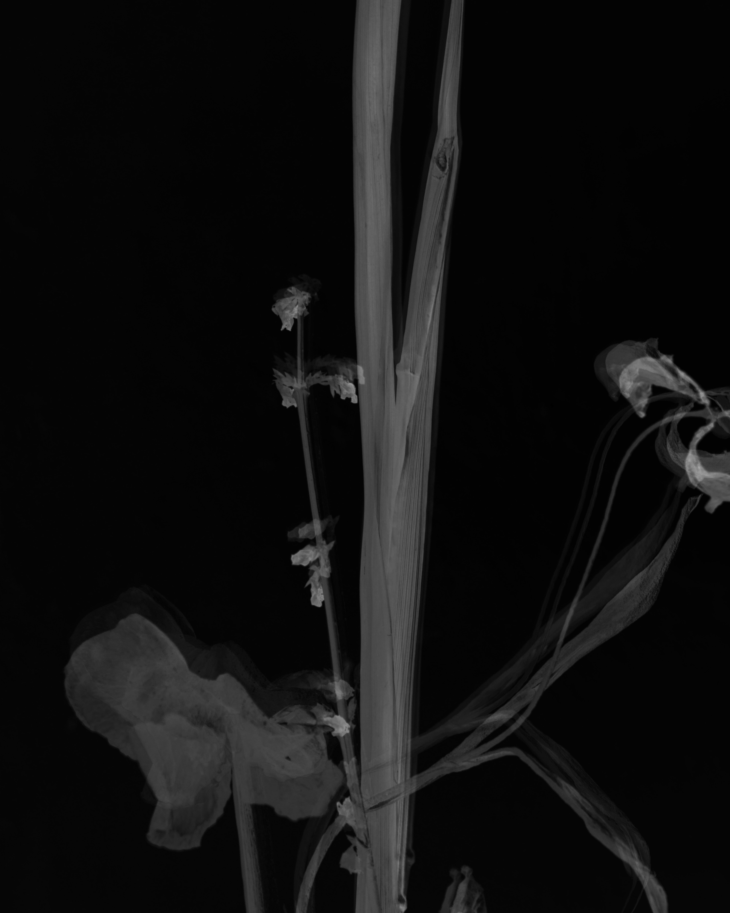 Highlights. Eugenia Ignatova multidisciplinary artist, photographer in Belgrade