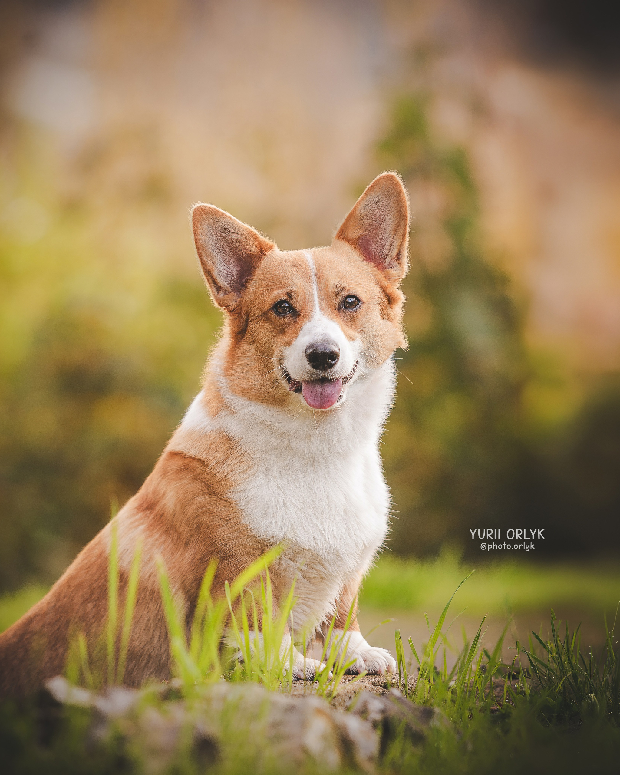 Yurii Orlyk Photography