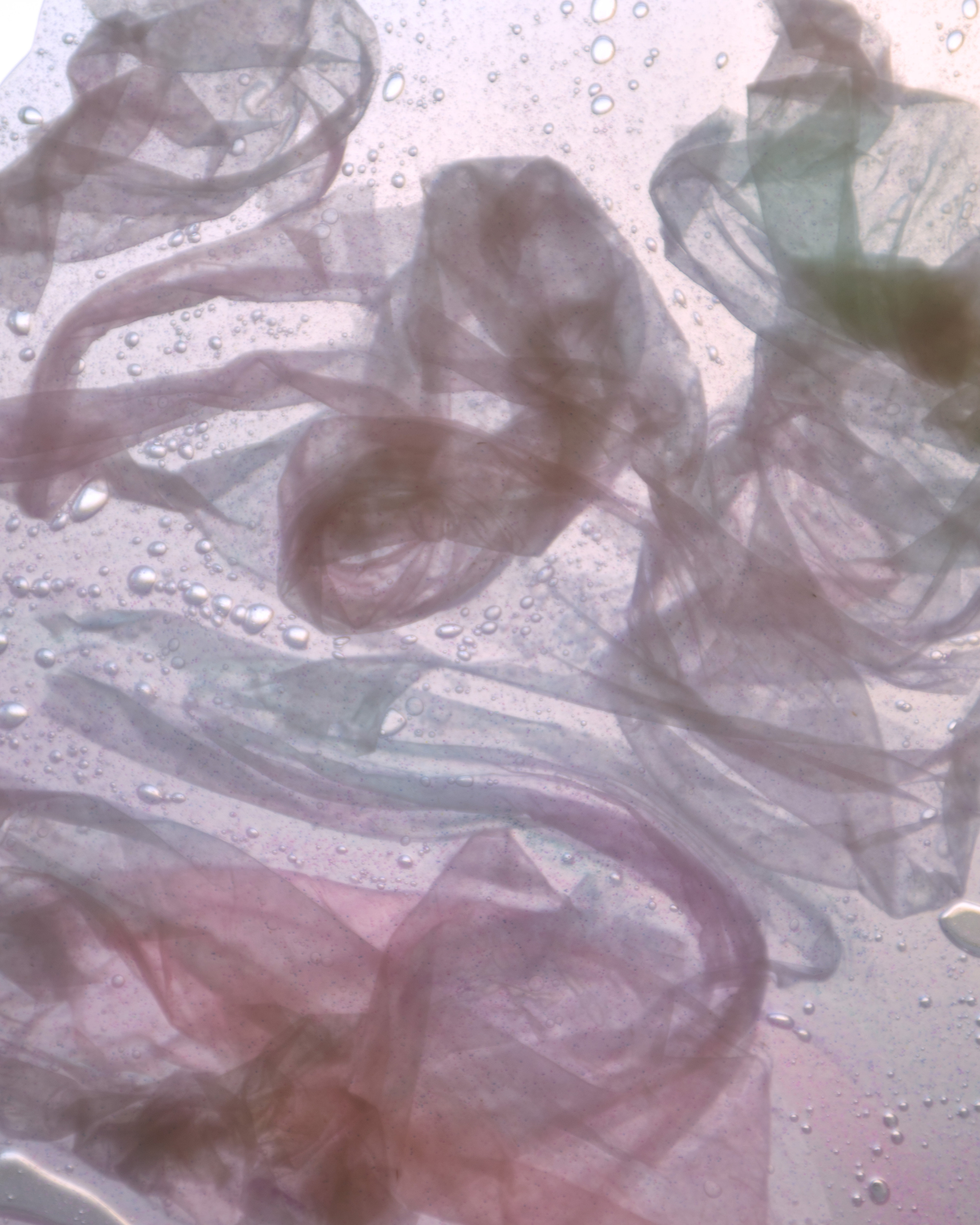 Highlights. Eugenia Ignatova multidisciplinary artist, photographer in Belgrade