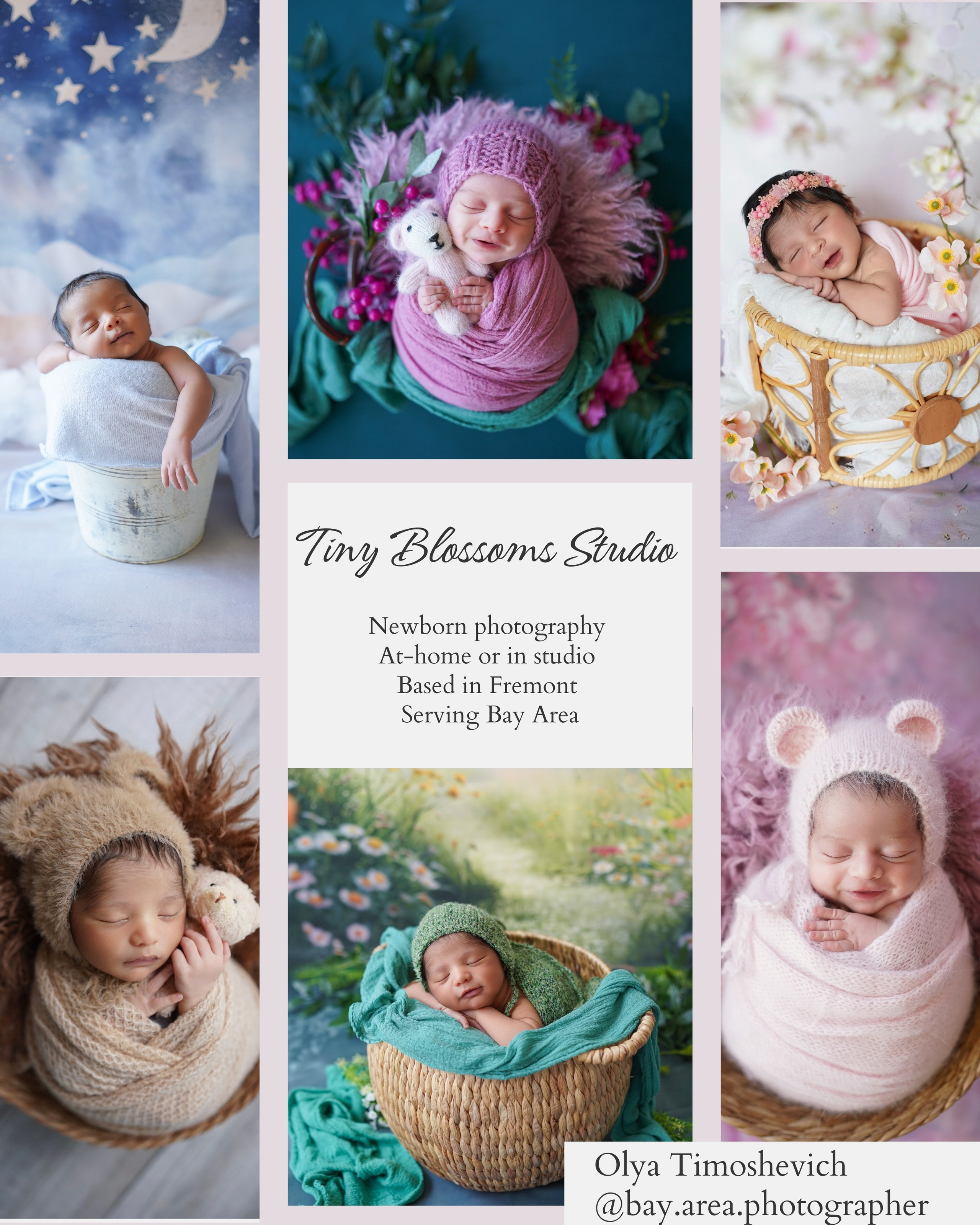 Maternity, family and newborn photography in San Francisco Bay Area