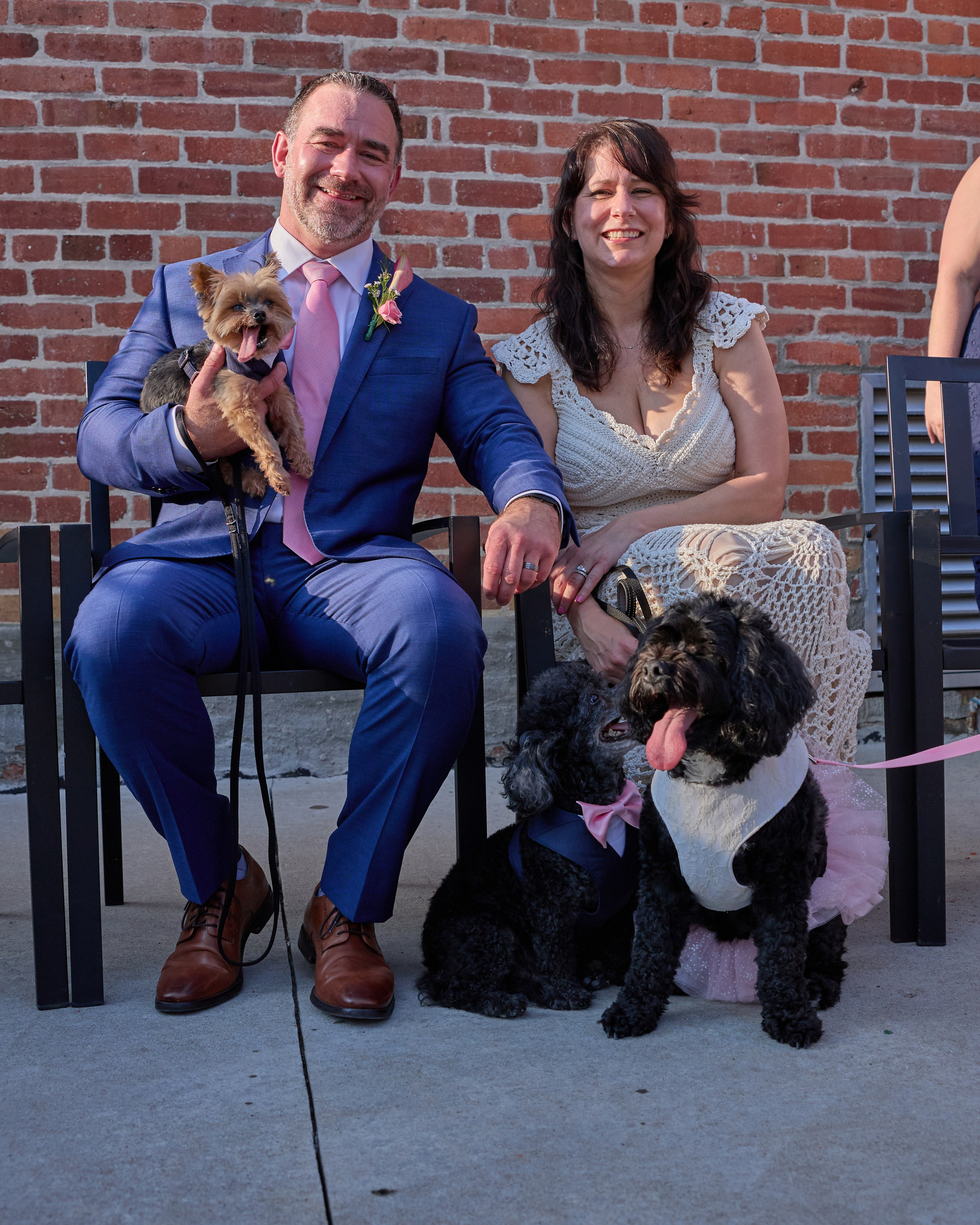 A Cozy Mini Wedding with Three Rescue Dogs. Kovyphoto