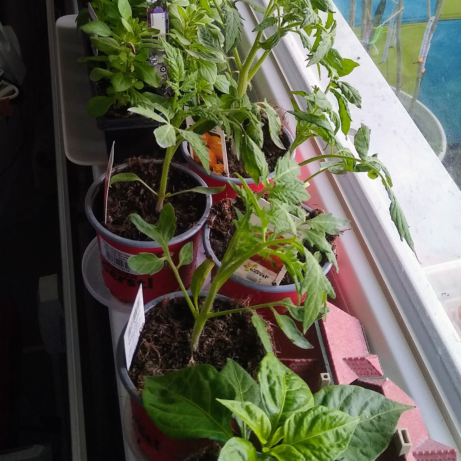 March. Kiki-Niki-Cha! Learn, play, and discover with us!