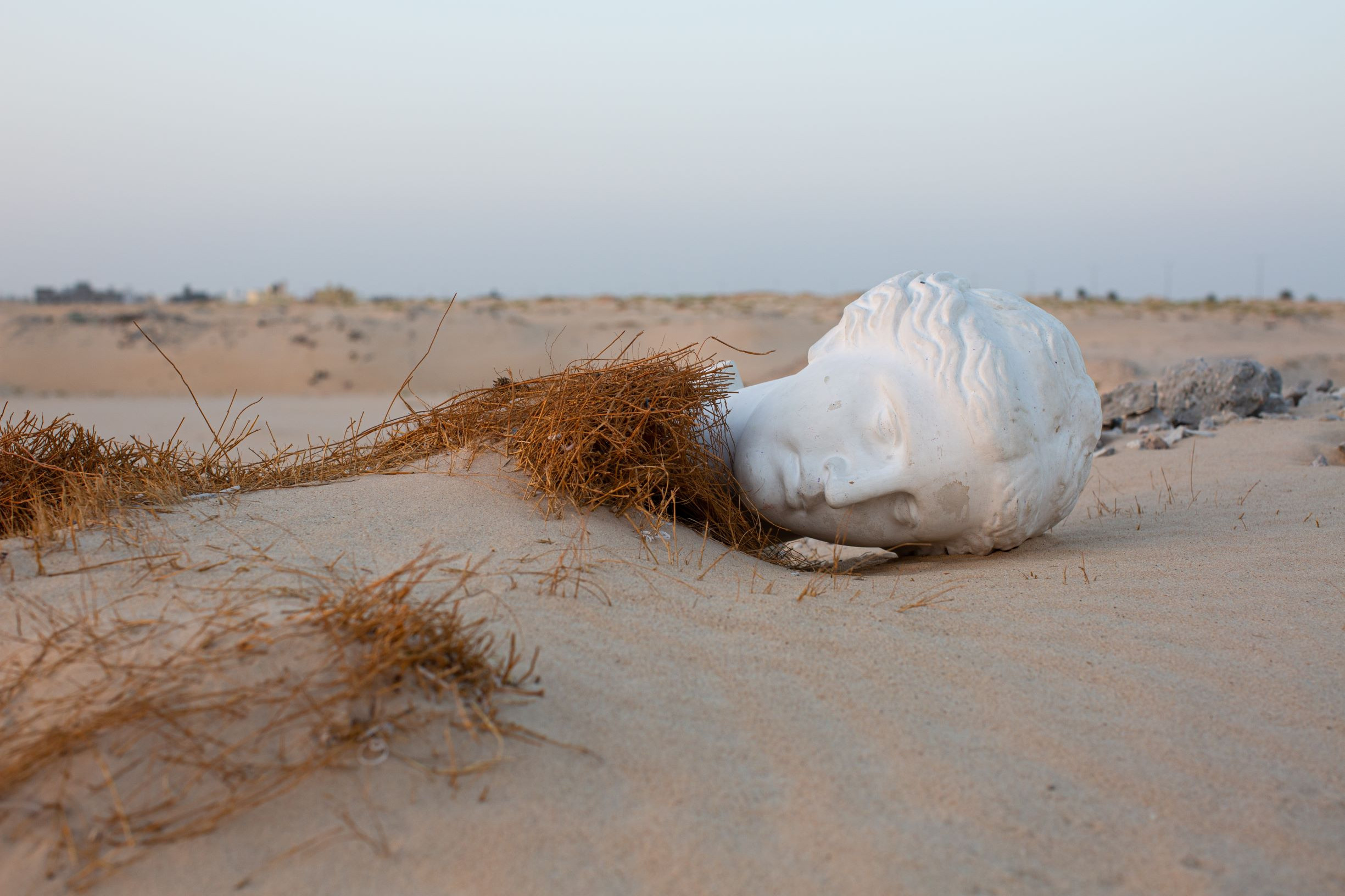 Междисциплинарный художник, фотограф