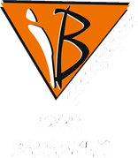 ibaranyuk.com