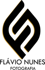 faleflavio.wfolio.pro