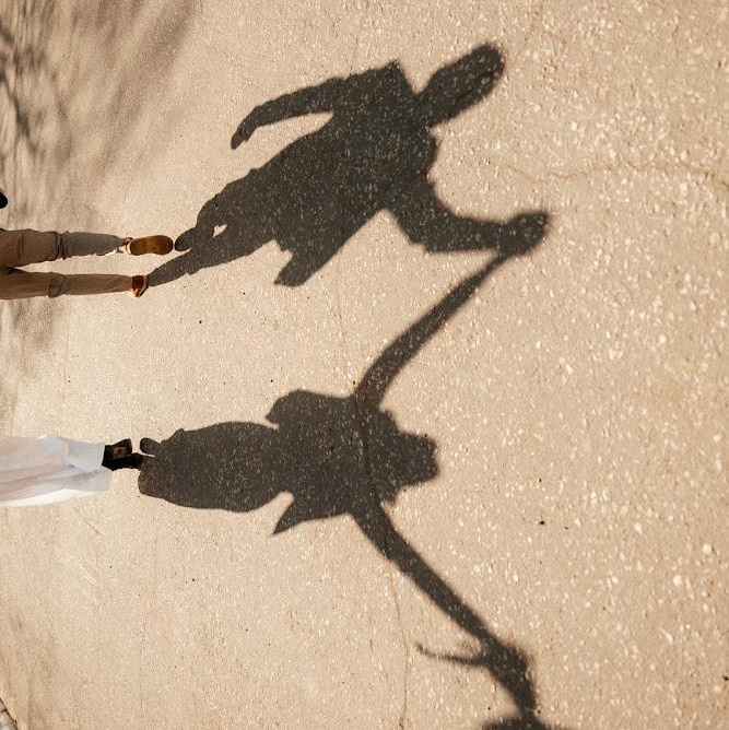 Photographer & Videographer. Welcome to my video and photo world!