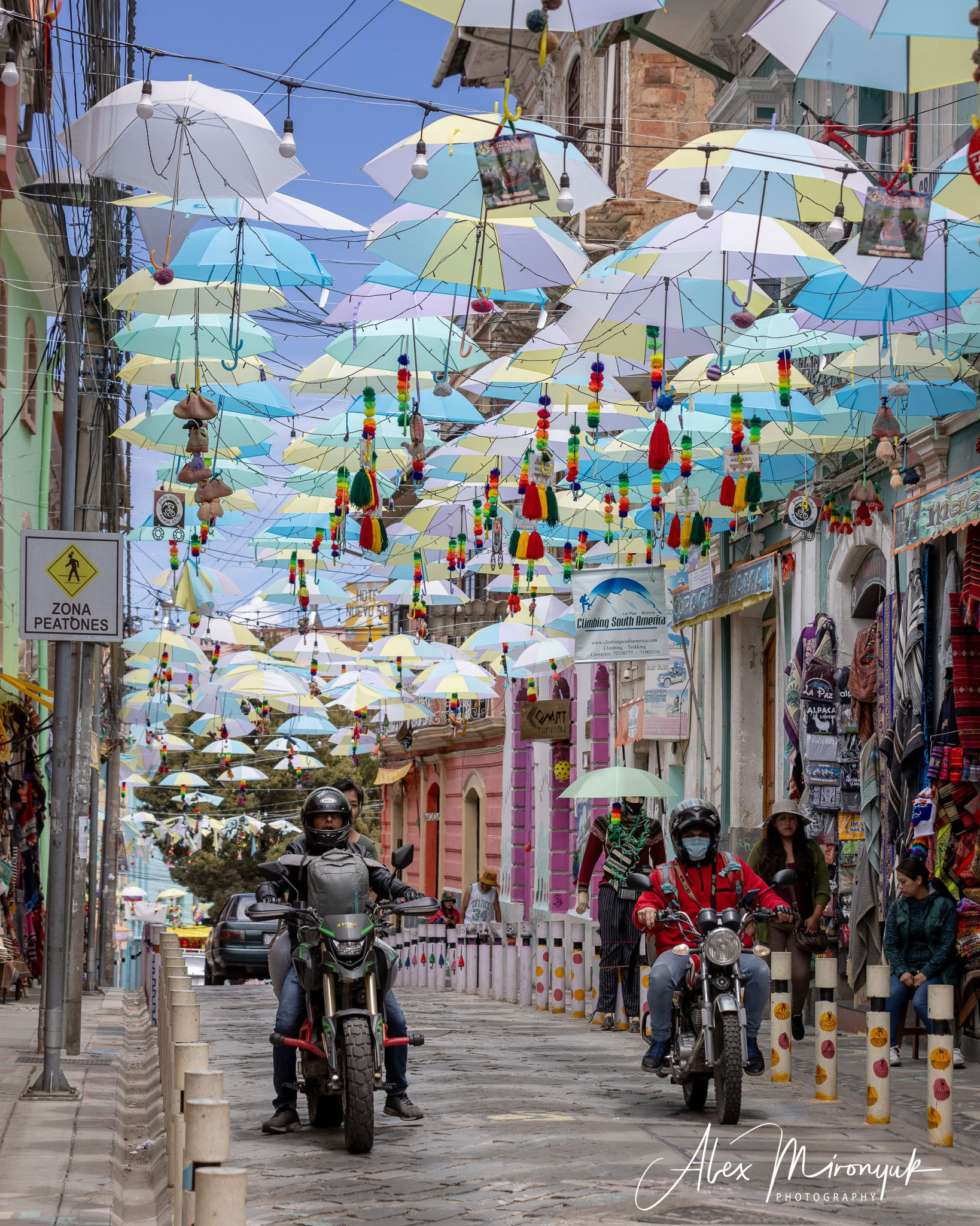 Bolivia Adventure. Pet, Senior, Landscape, portrait studio, photographer in Miami and Sou