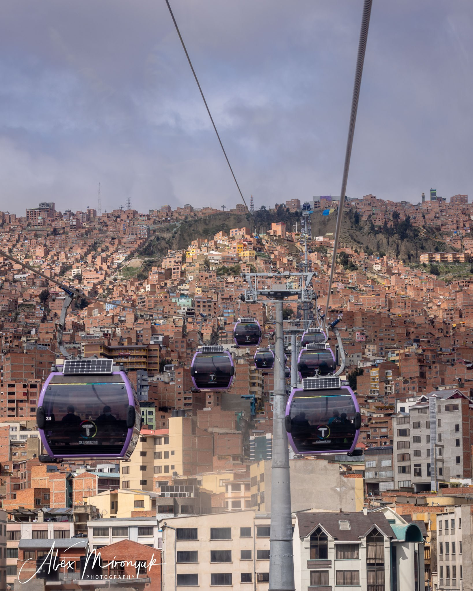 Bolivia Adventure — 2025. Pet, Senior, Landscape, portrait studio, photographer in Miami and Sou