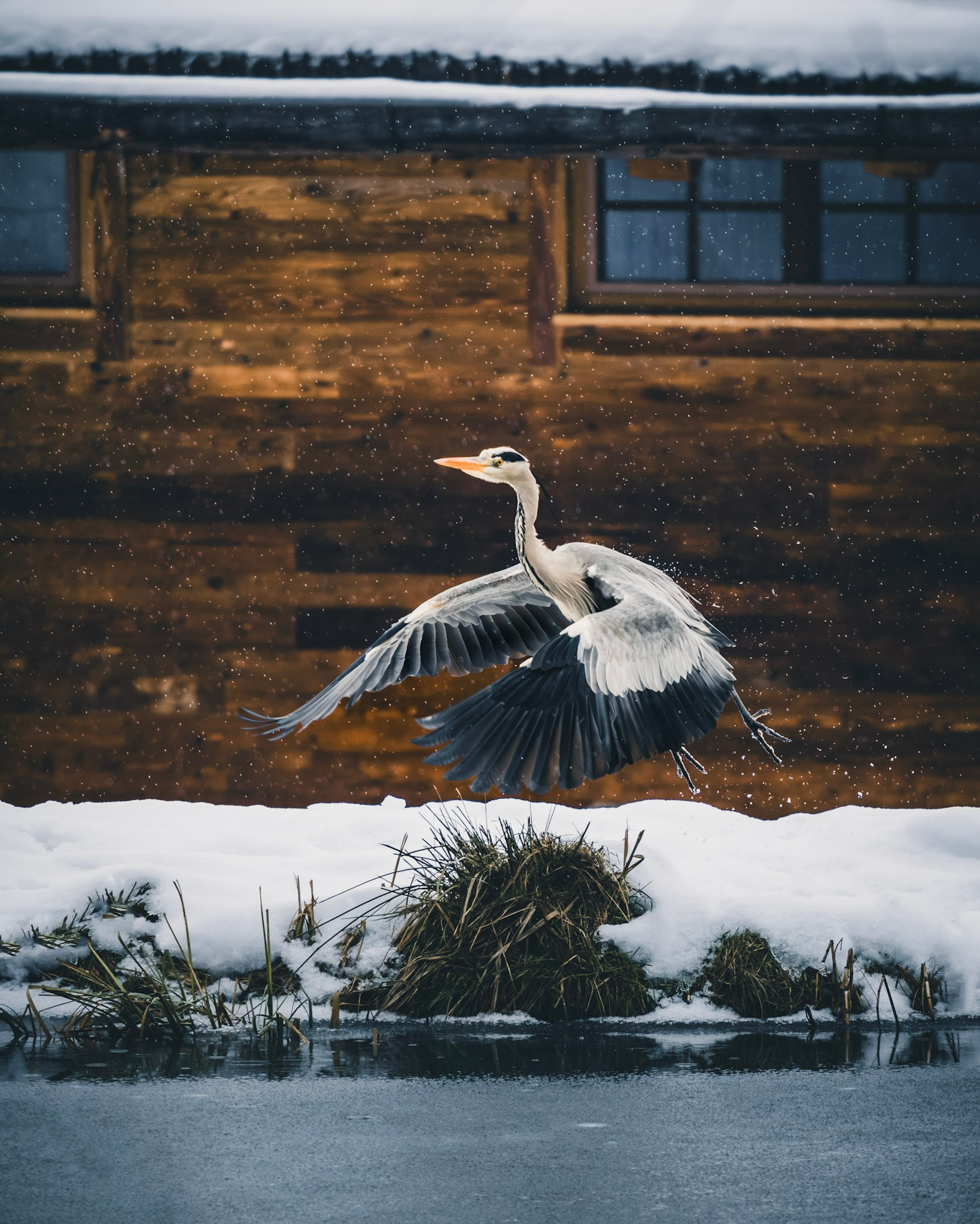 Hotelfotografie & Content-Produktion im Alpzitt Chaletdorf | Bayern