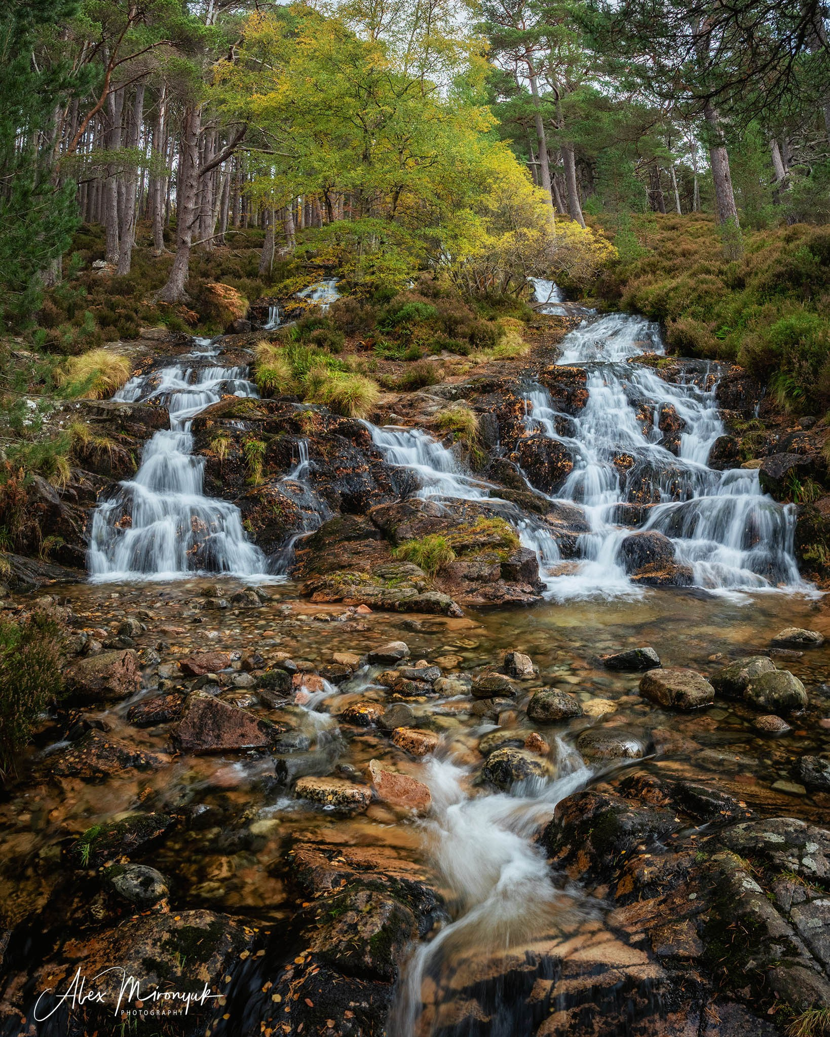 Scotland’s Highlands. Pet, Senior, Landscape, portrait studio, photographer in Miami and Sou