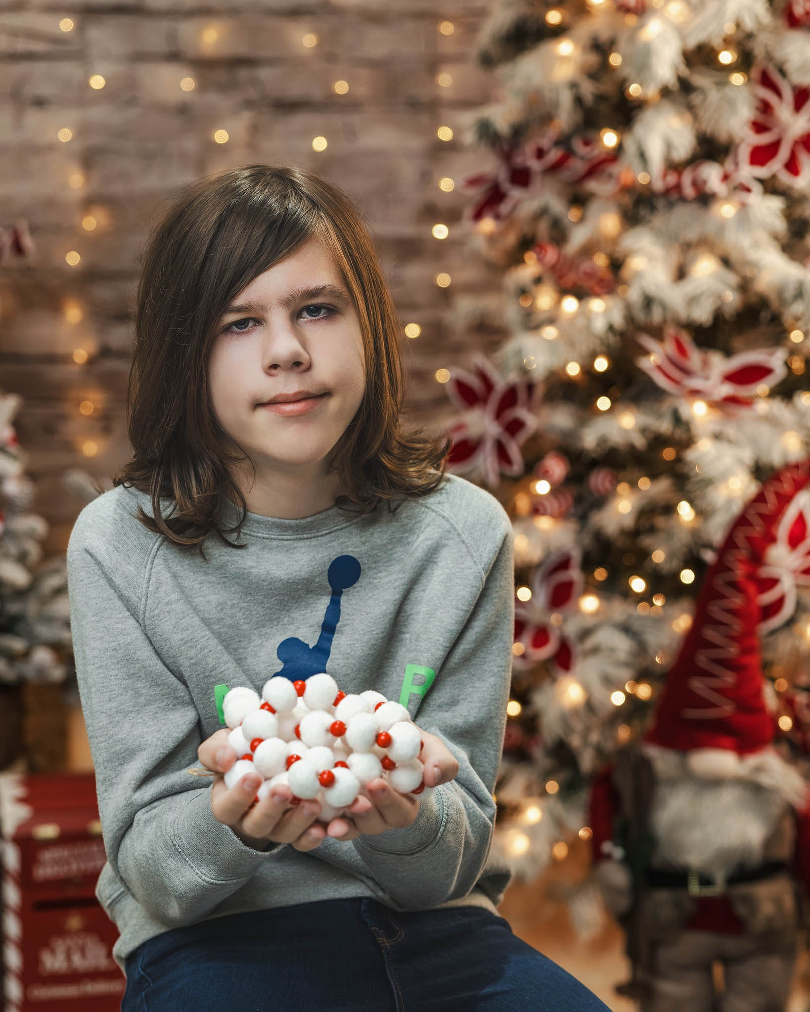 Winter Holiday Mini Sessions. Alex Mironyuk Photography