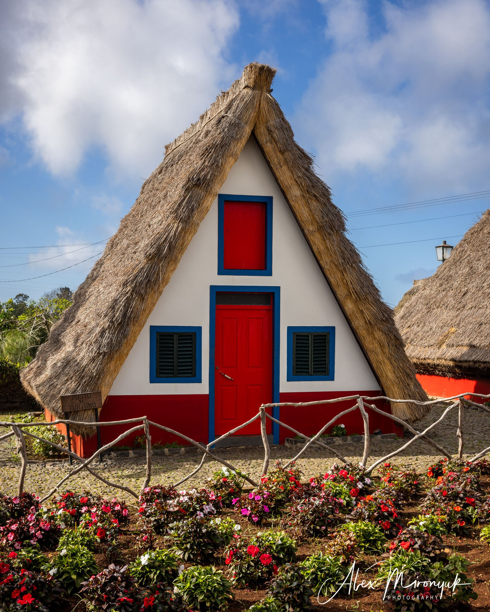 Azores And Madeira. Pet, Senior, Landscape, portrait studio, photographer in Miami and Sou