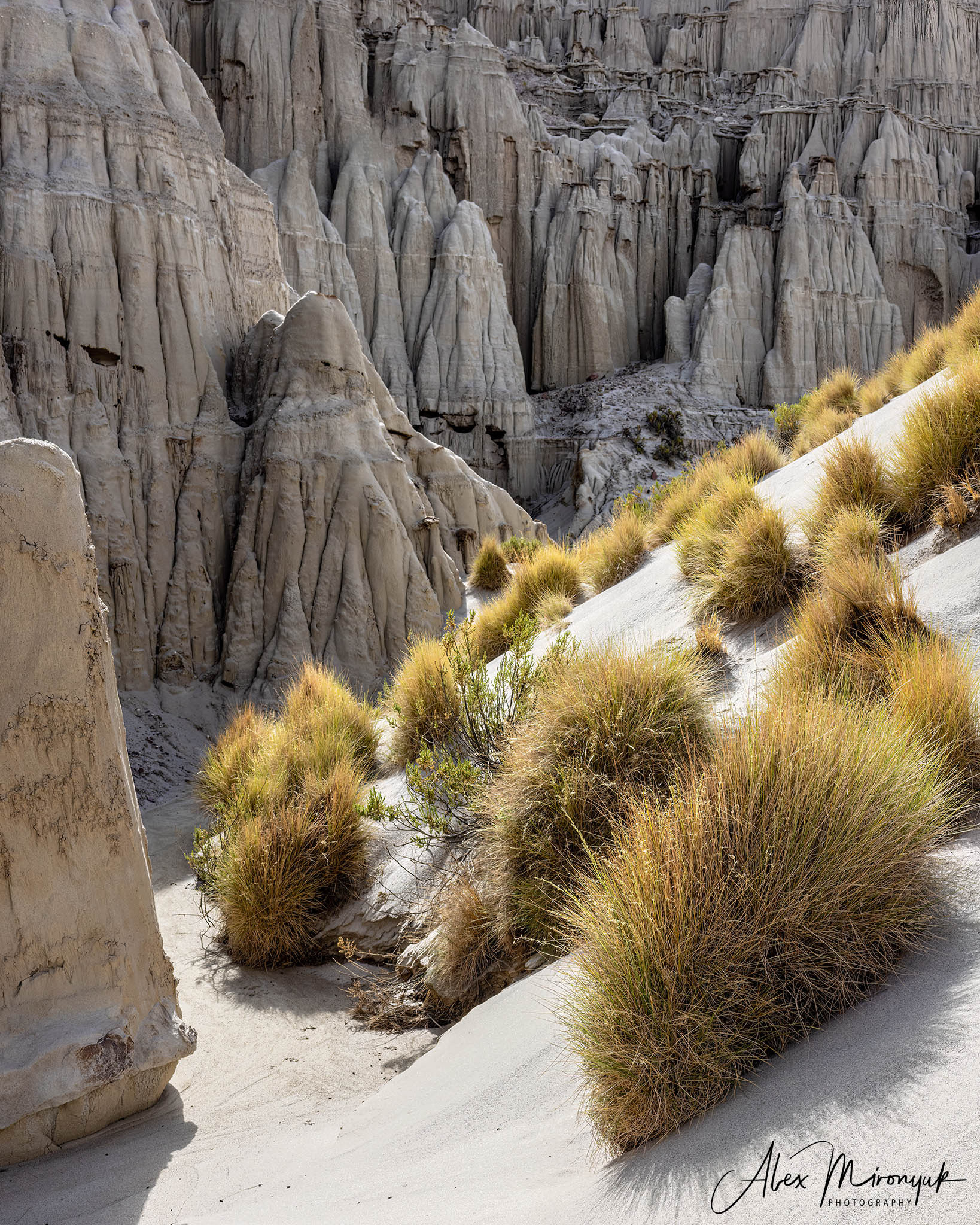 Bolivia Adventure. Pet, Senior, Landscape, portrait studio, photographer in Miami and Sou