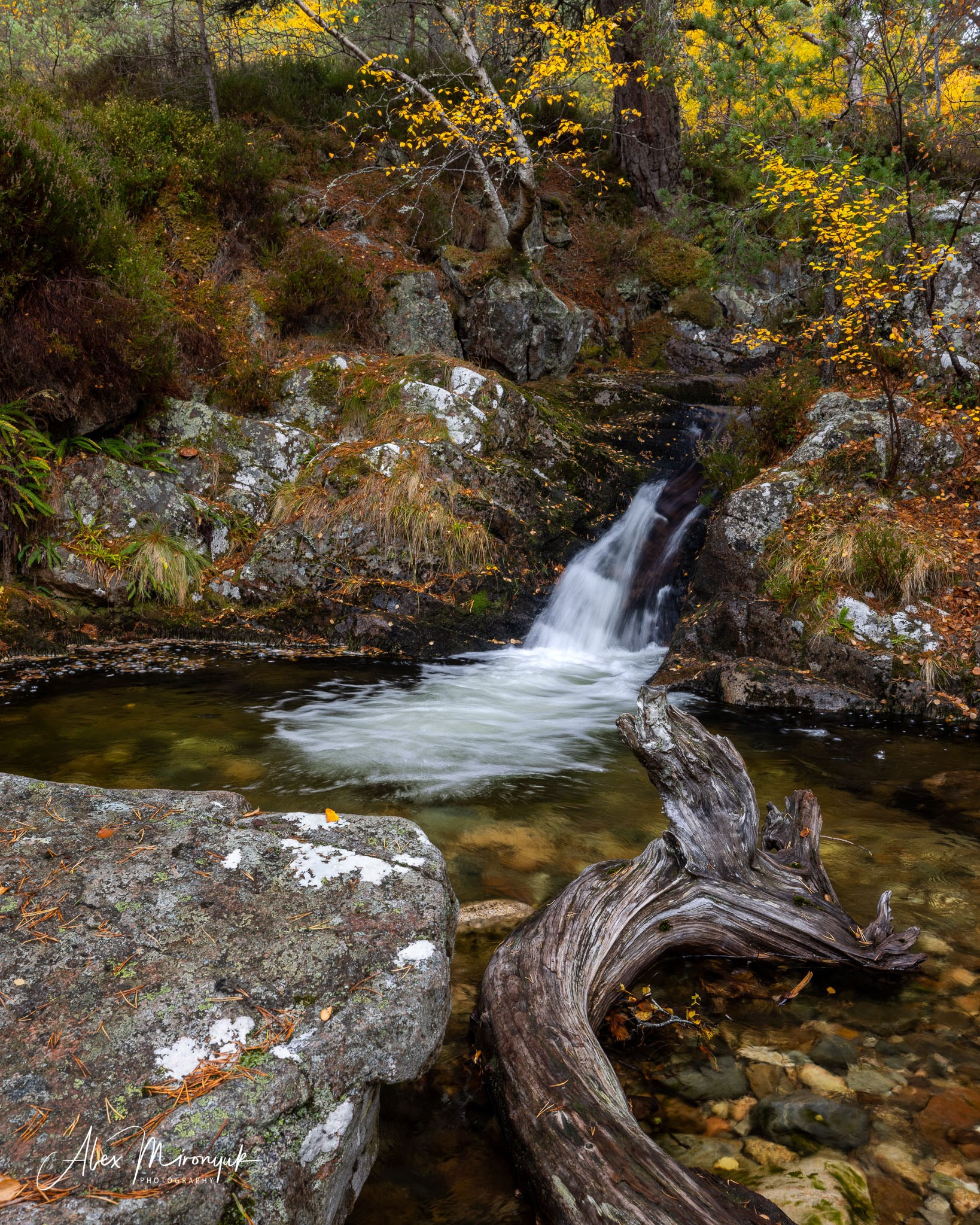 Scotland’s Highlands. Pet, Senior, Landscape, portrait studio, photographer in Miami and Sou