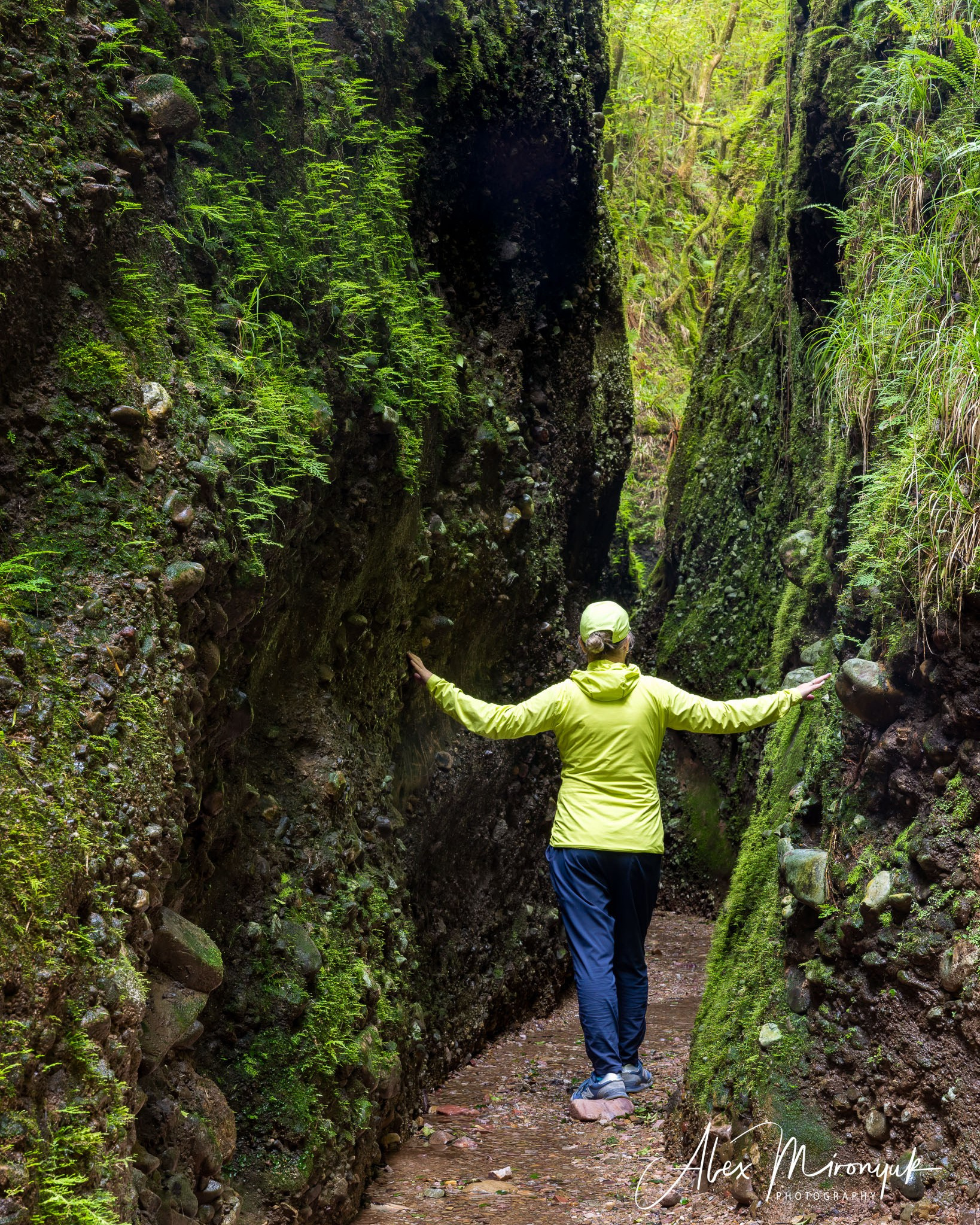 Unknown Northern Argentina. Pet, Senior, Landscape, portrait studio, photographer in Miami and Sou